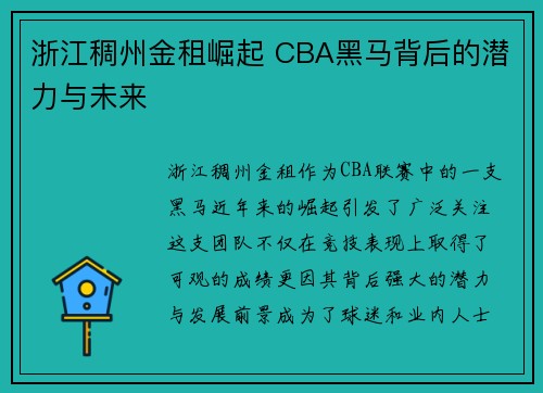 浙江稠州金租崛起 CBA黑马背后的潜力与未来